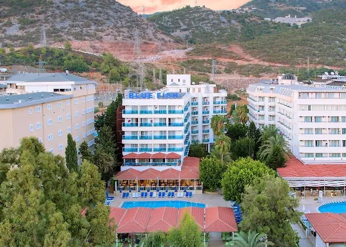 Blue Fish Resort