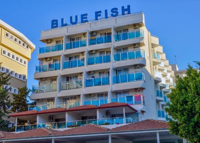 Blue Fish 4*