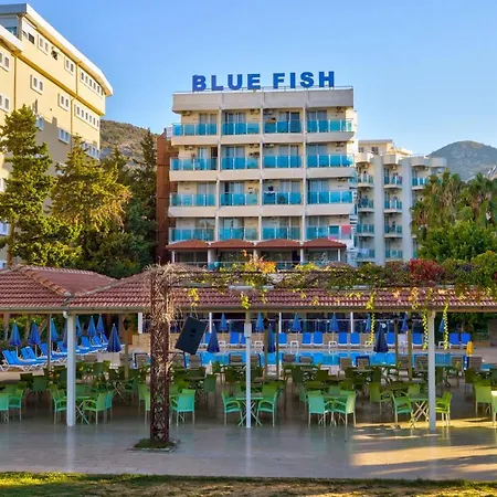 Blue Fish אתר נופש