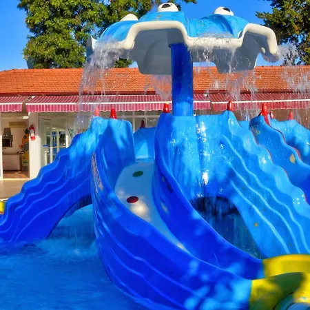 Blue Fish