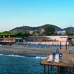 Blue Fish