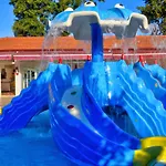 Blue Fish