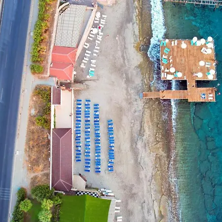 Blue Fish منتجع ألانيا