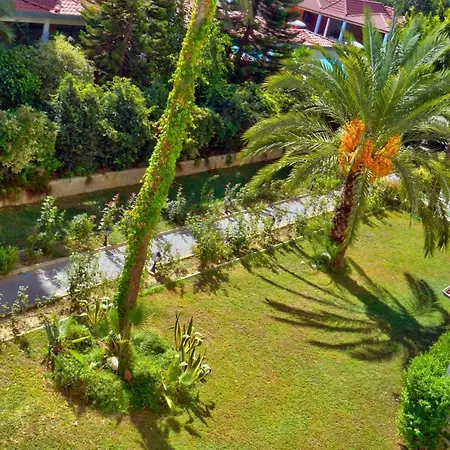 Blue Fish 4* ألانيا